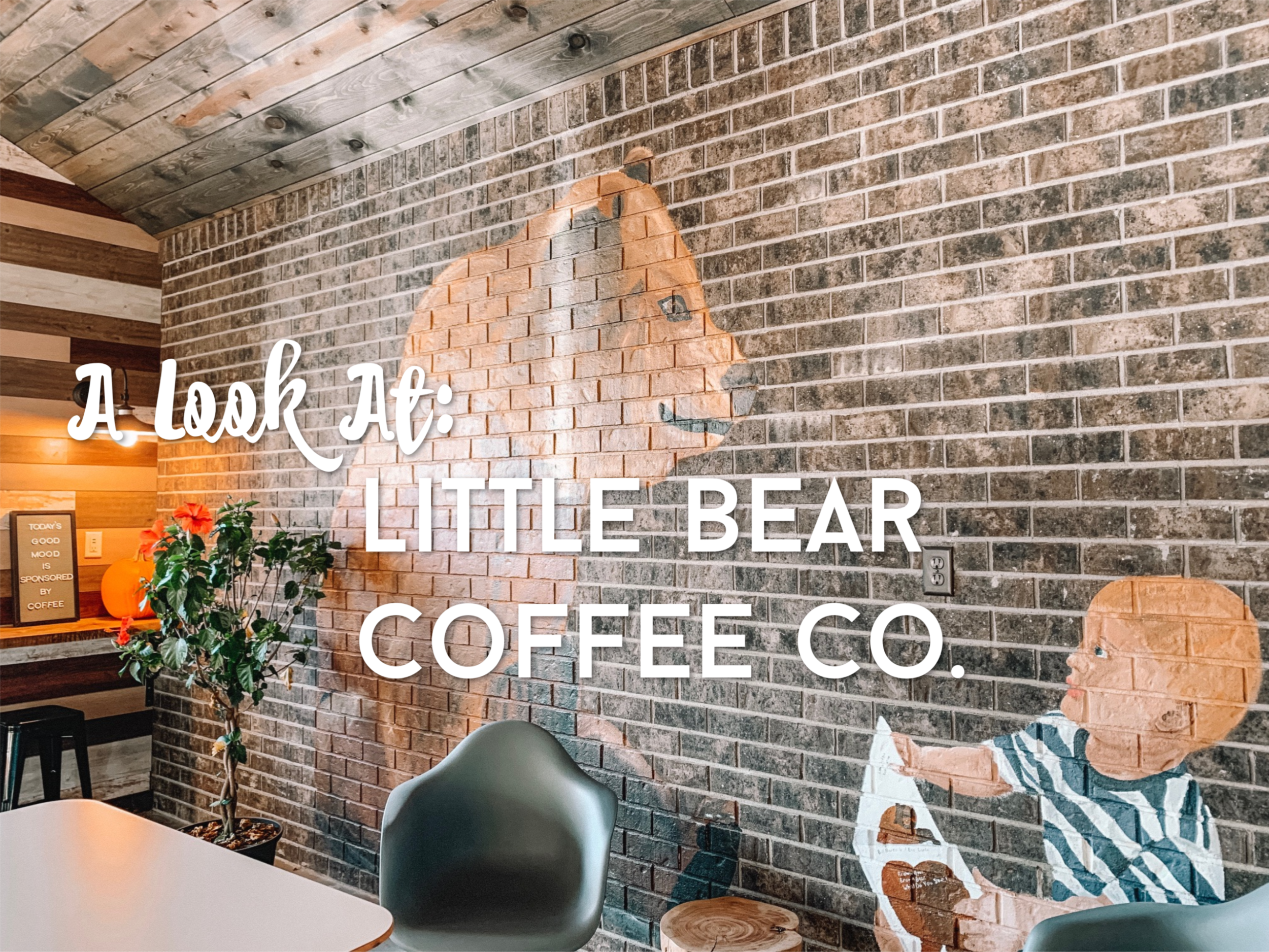 Little Bear Company 